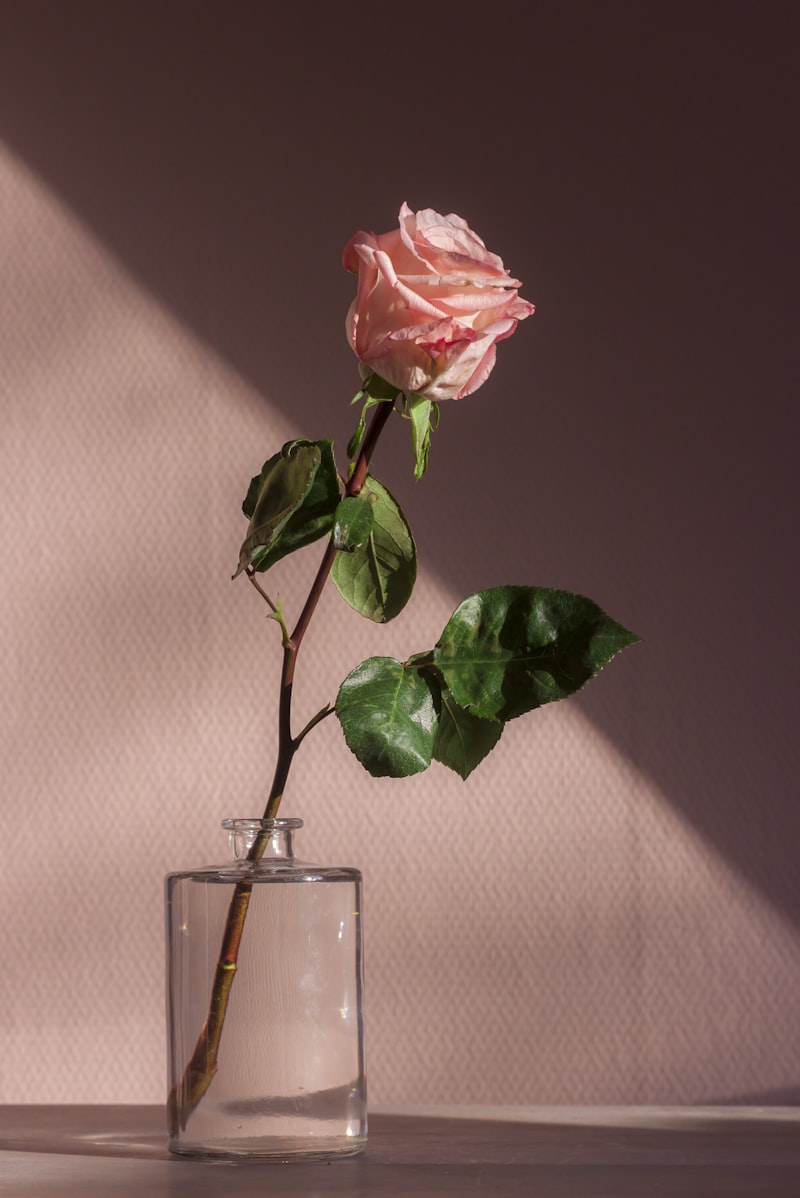 德扑圈充值指南